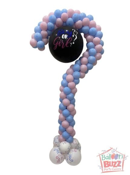 Boy or Girl Question Mark Gender Reveal Column